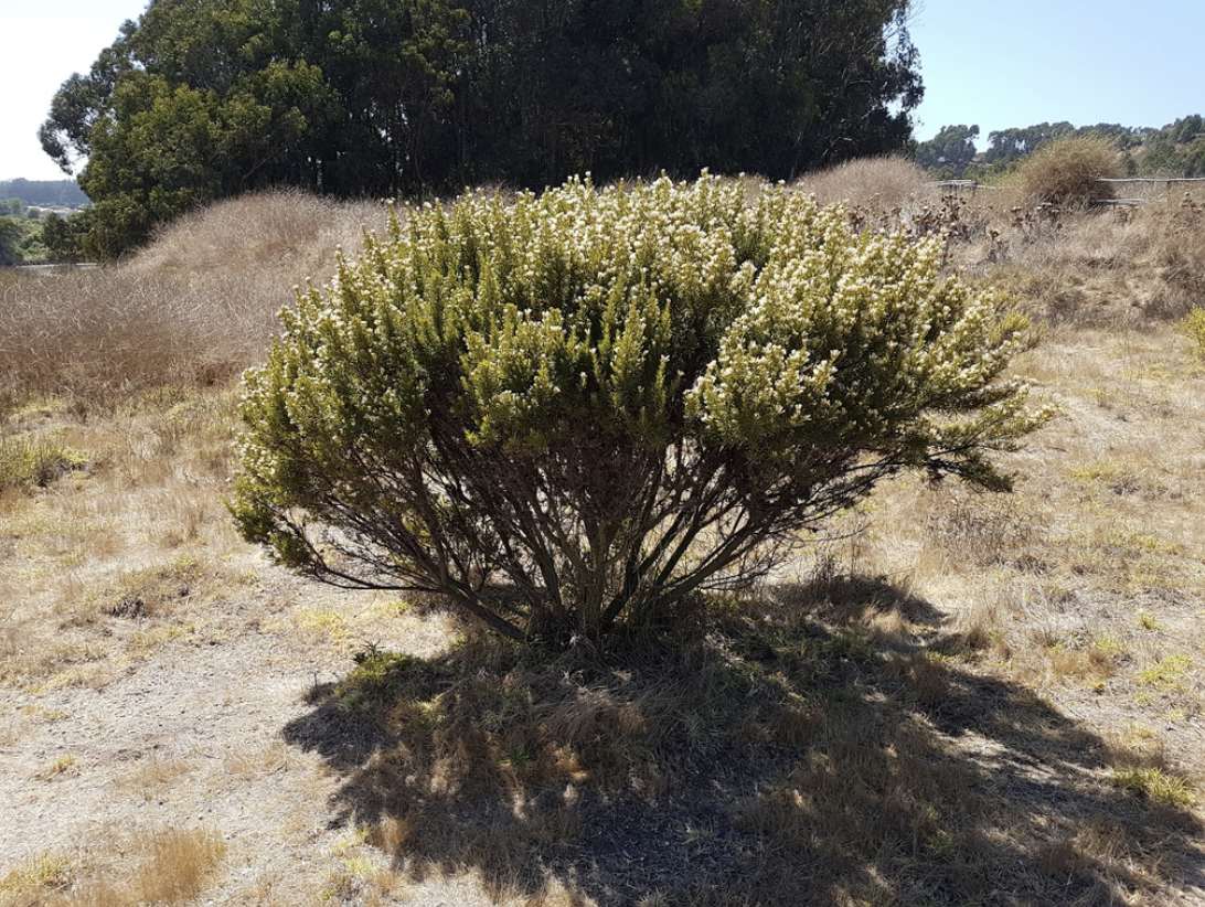 Screenshot 2023-06-23 at 16.31.28