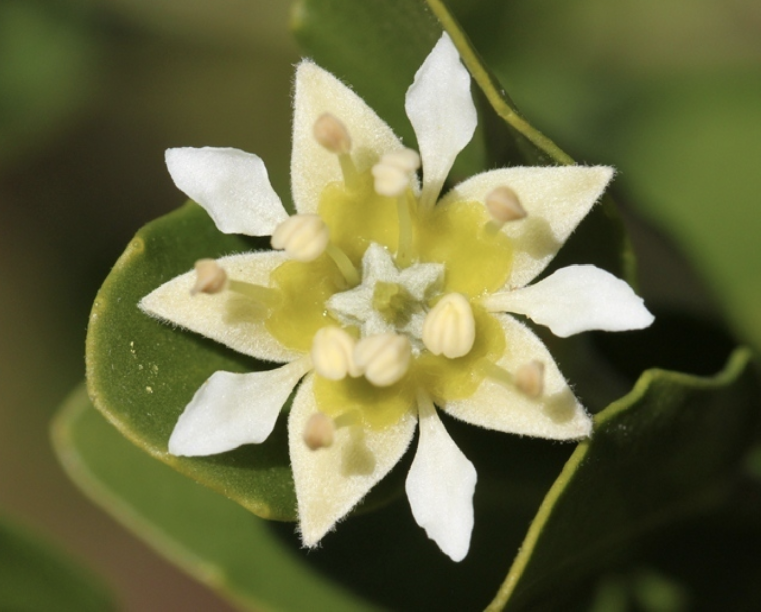 Screenshot 2023-07-06 at 22.42.32