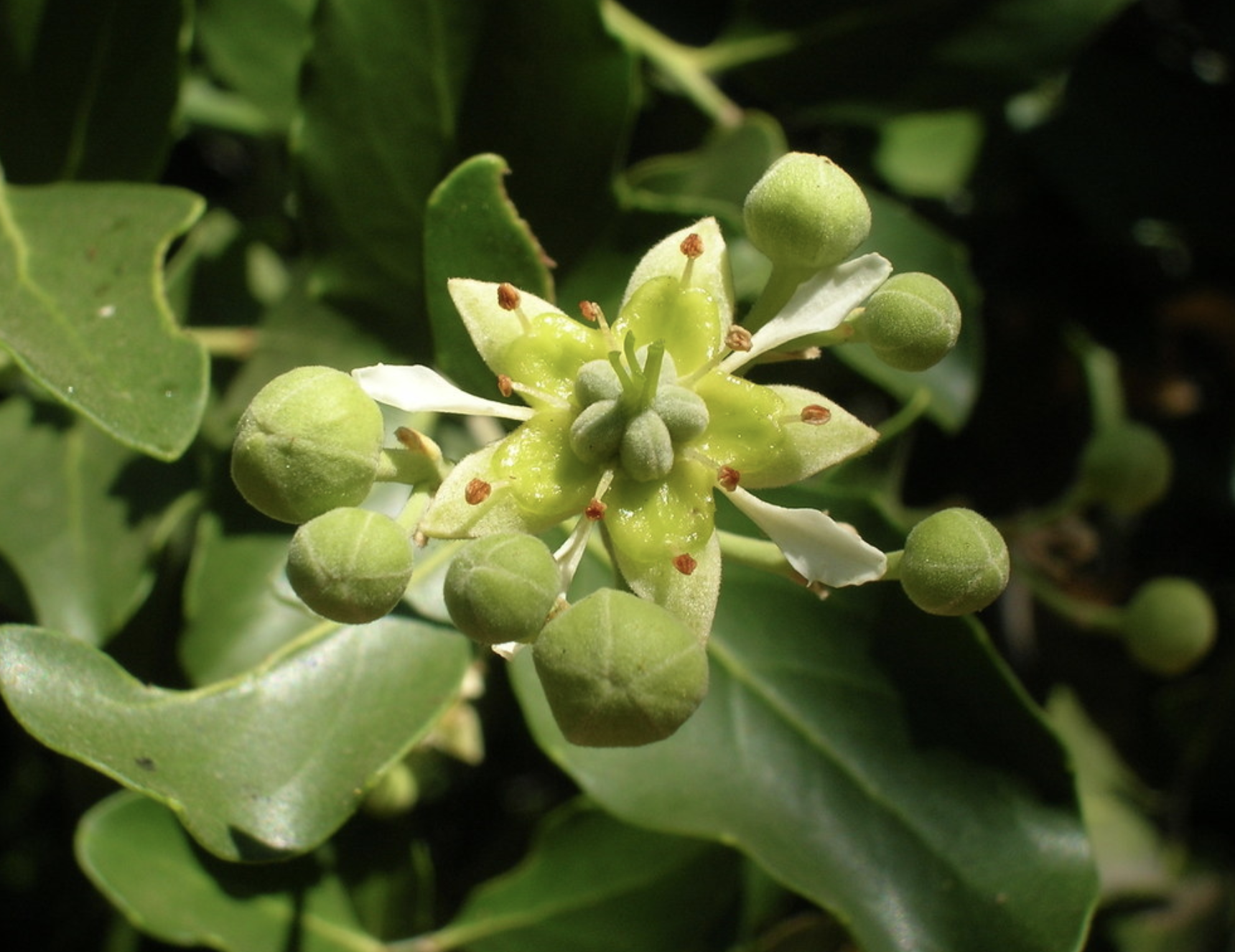 Screenshot 2023-07-06 at 22.42.45