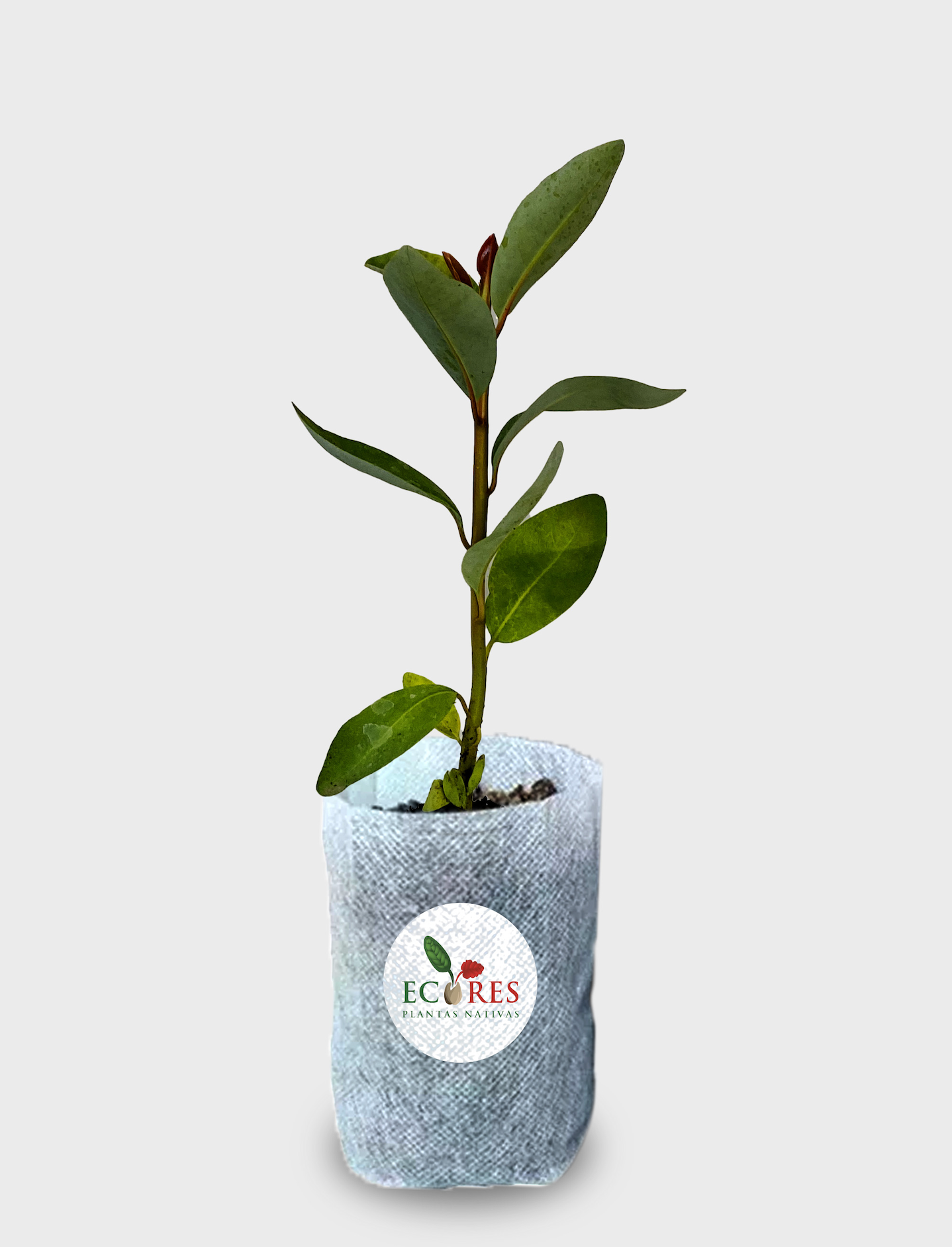 Screenshot 2023-09-25 at 15.30.30