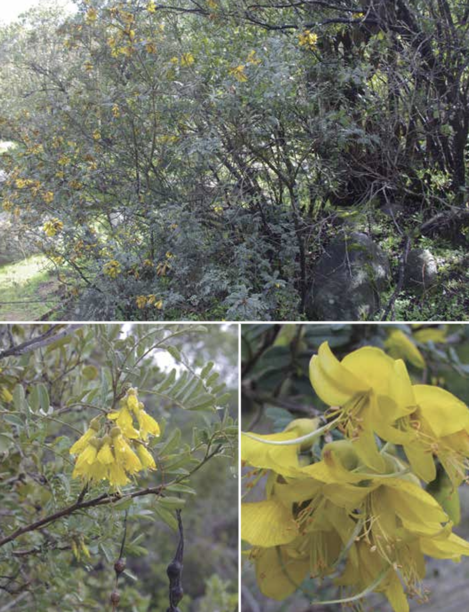 Screenshot 2023-09-26 at 10.07.53