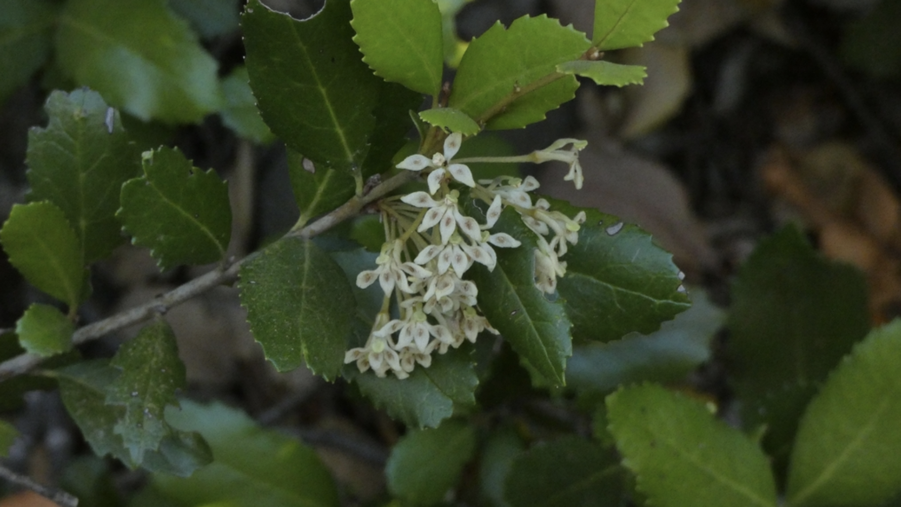 Screenshot 2023-09-26 at 10.50.25